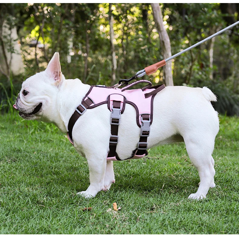 Pet Rainproof Bulldog Anti-slip Night Reflective Harnesses