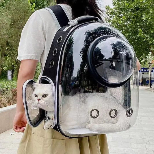 Transparenter Capsule Bubble Pet Carrier-Rucksack
