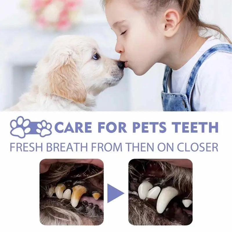 dog dental cleaning