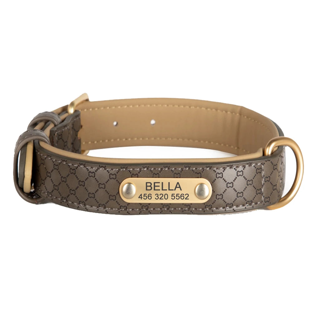Ensemble collier et laisse pour animaux de compagnie en cuir élégant