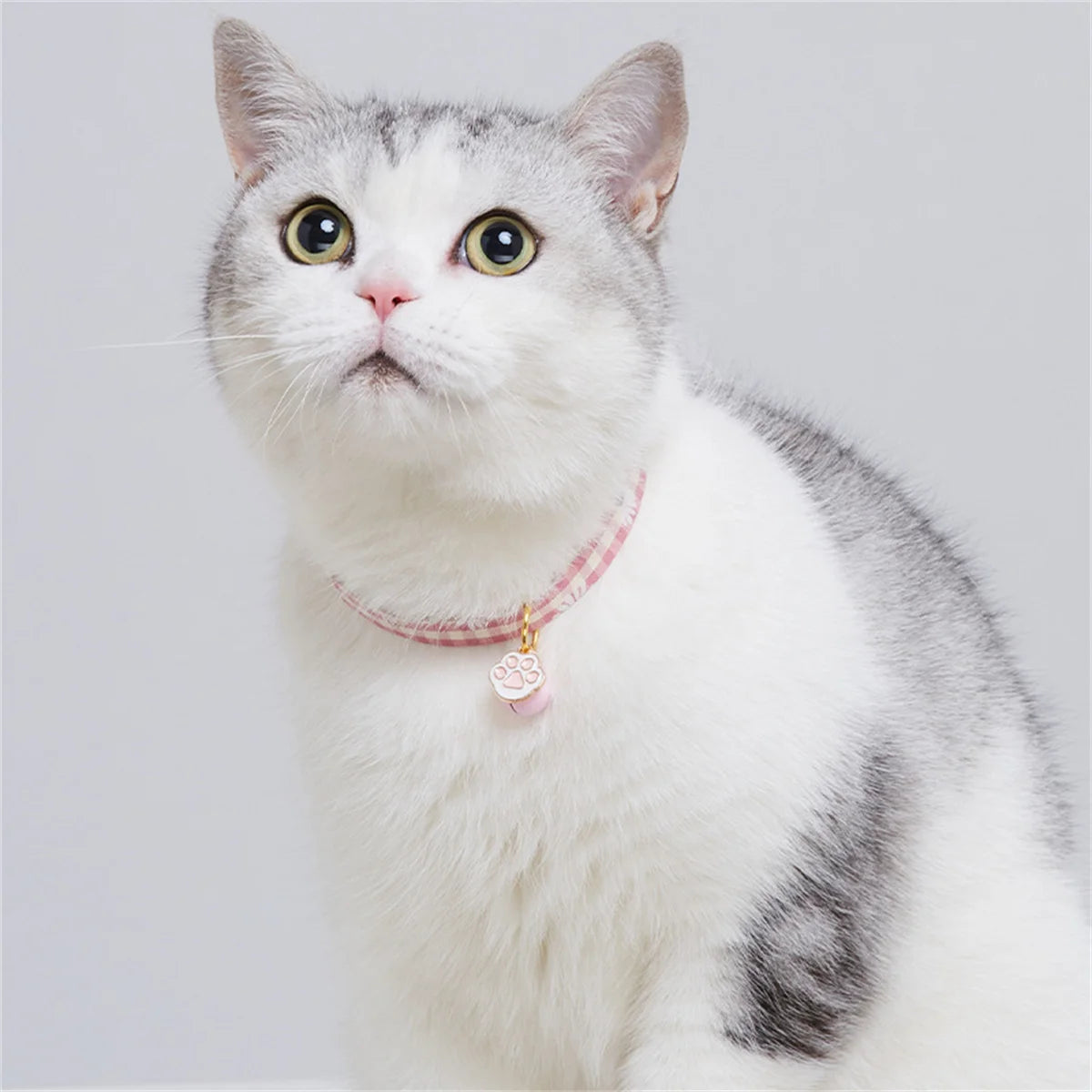 Adjustable Plaid Cat Collar with Bell Pendant