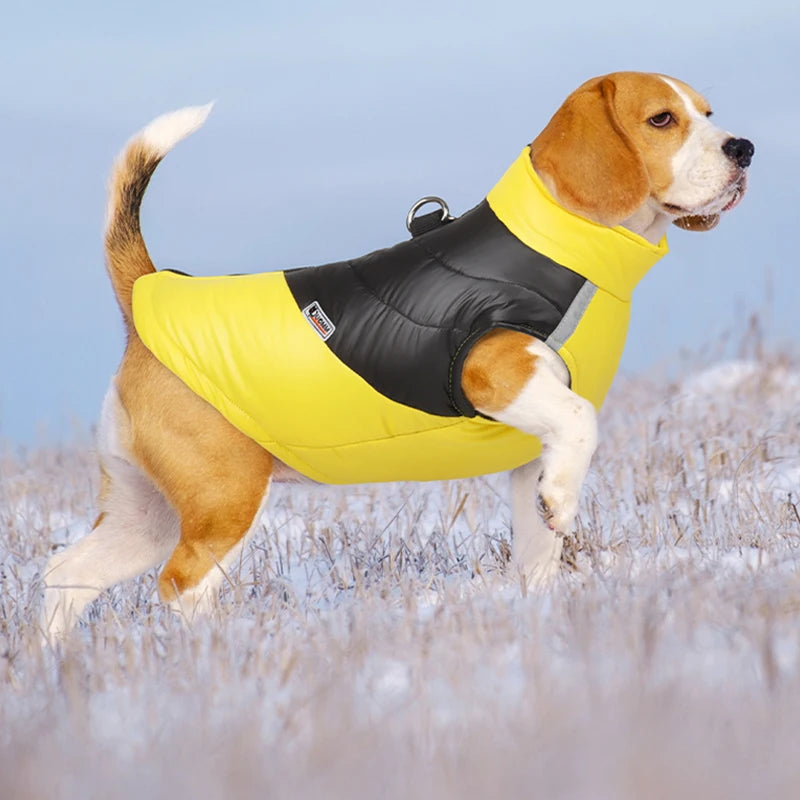 Veste rembourrée imperméable pour animaux de compagnie, veste à glissière au dos