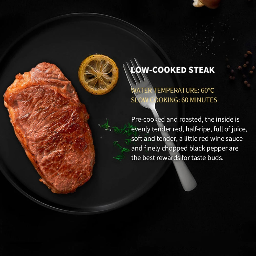 Cuisinière de cuisine à chauffage continu à faible puissance réglable