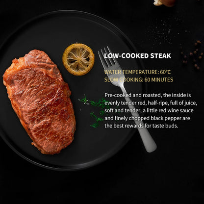 Cuisinière de cuisine à chauffage continu à faible puissance réglable