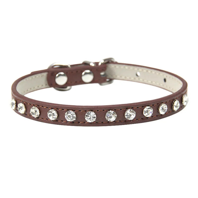 puppy collar