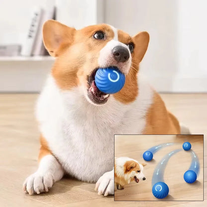 Smart Rolling Ball Toy For Pet Cat - Automatic Bouncing Ball For Kittens