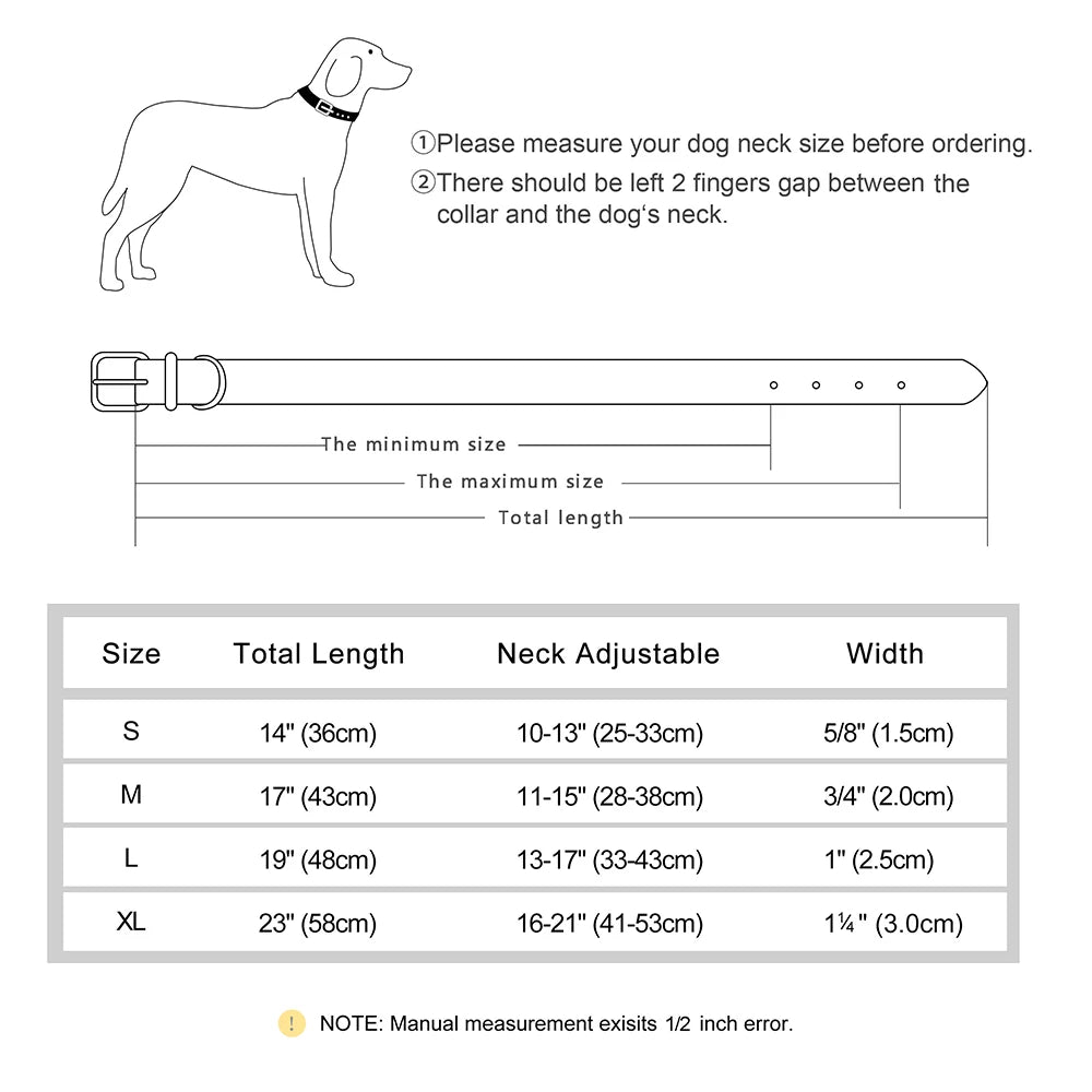 Strapazierfähiges Hundehalsband aus Leder