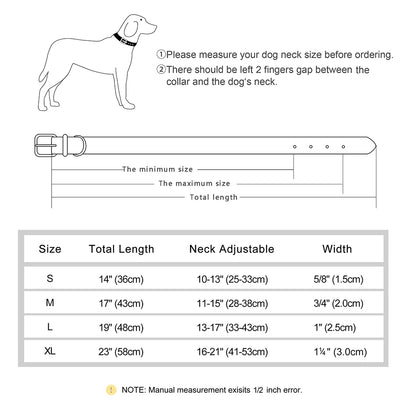 Strapazierfähiges Hundehalsband aus Leder