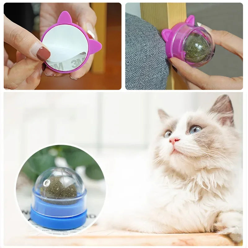 catnip ball for cats