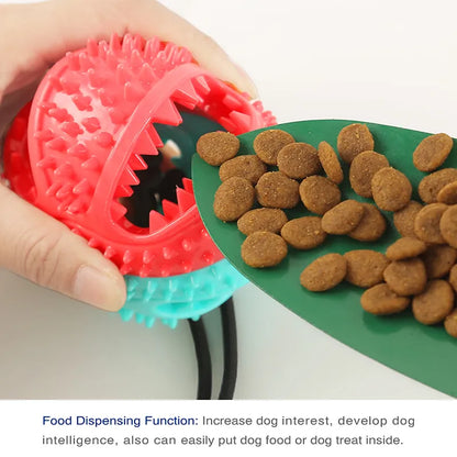 pet accessories