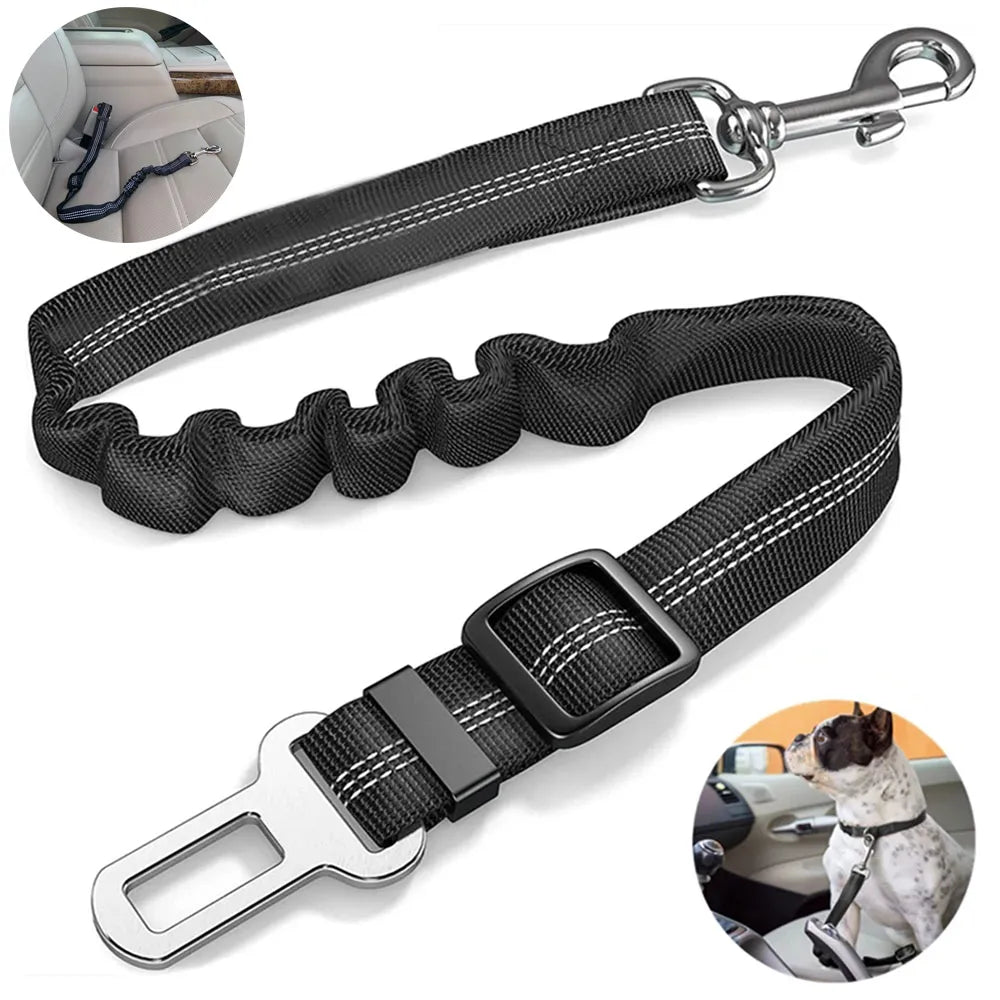 Ceinture de sécurité réfléchissante réglable pour chien