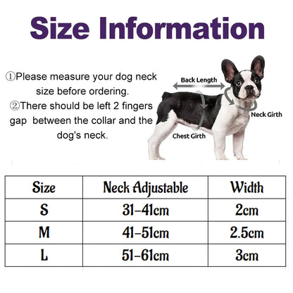 Ensemble collier et laisse pour animaux de compagnie en cuir élégant