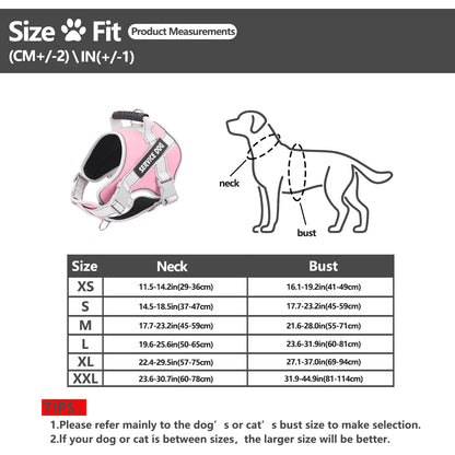 Reflective Letter Graphic Dog Harness