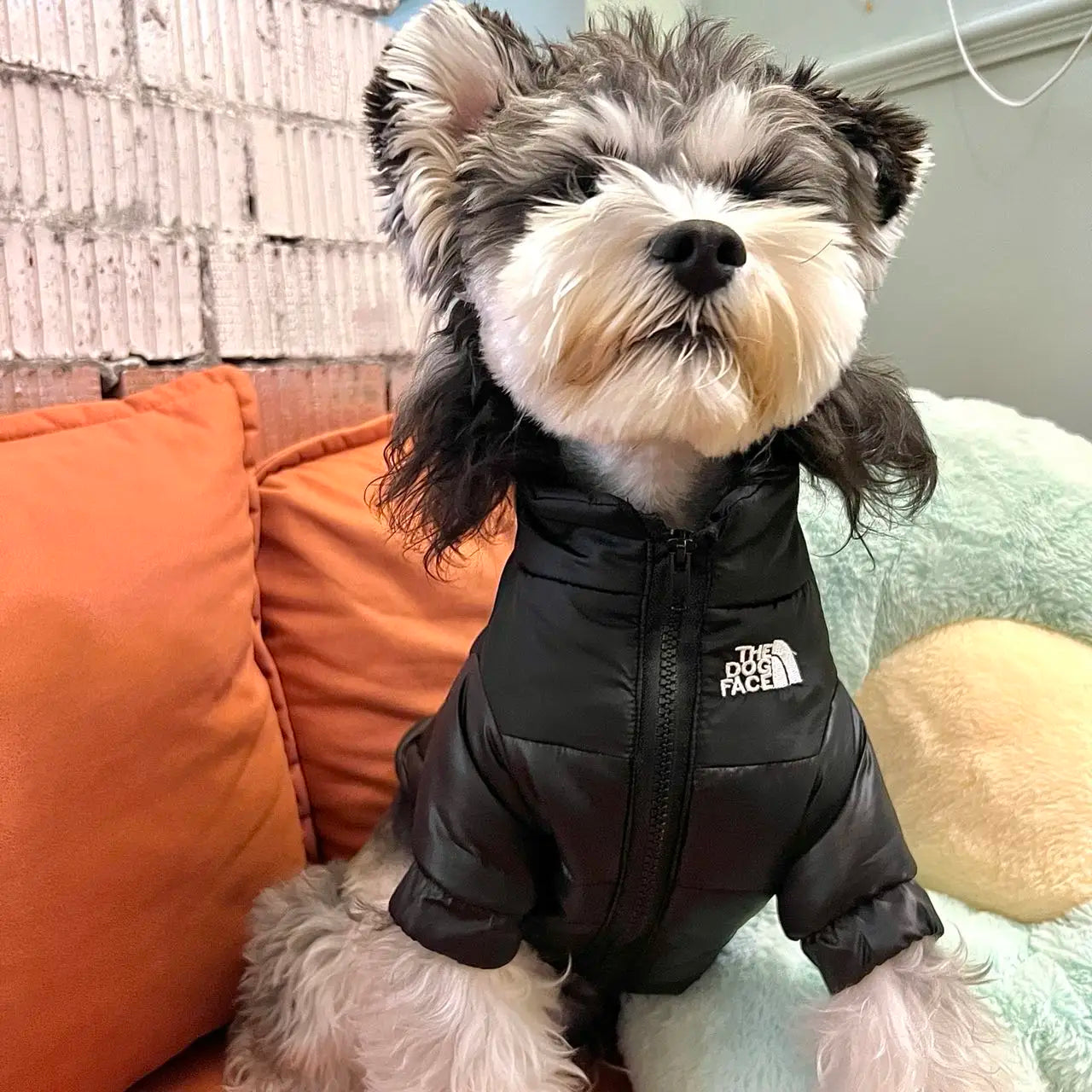 Veste imperméable chaude pour chien - Vêtements pour animaux de compagnie