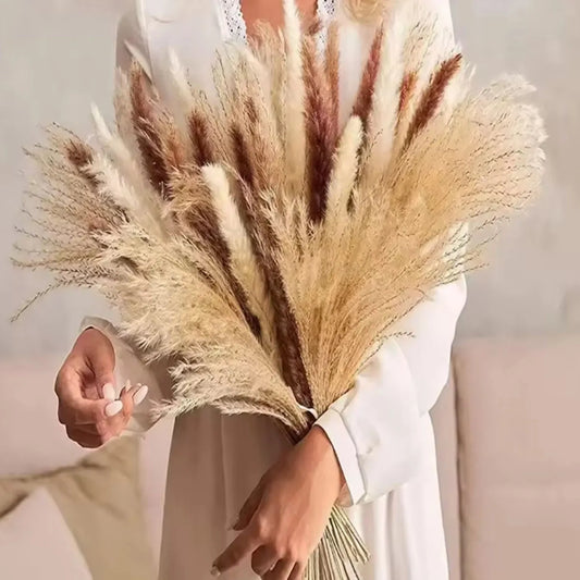 Petit bouquet de fleurs séchées d’herbe de pampa