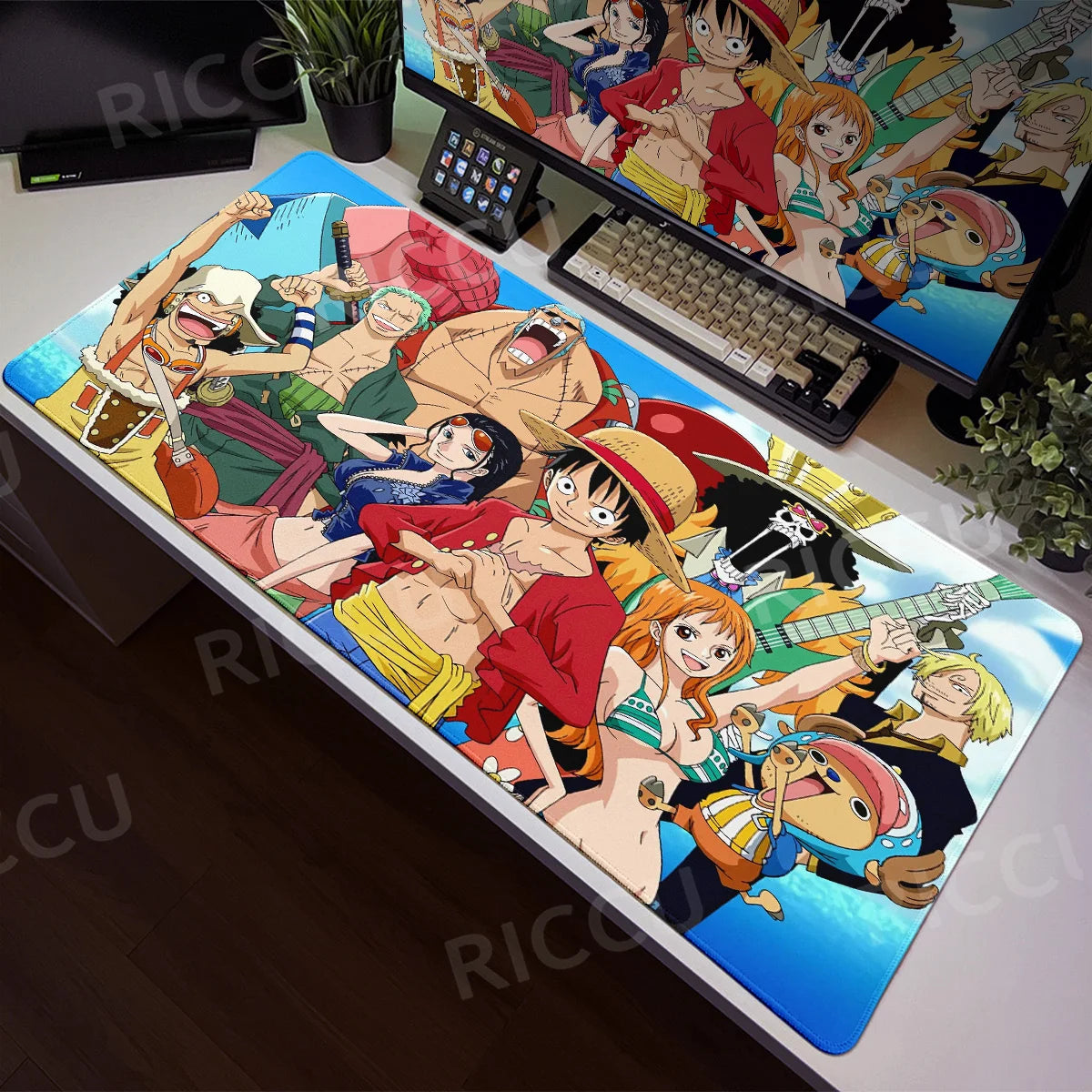 Kitchen Entrance Carpet Large Door Mat