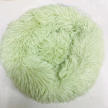 washable dog bed