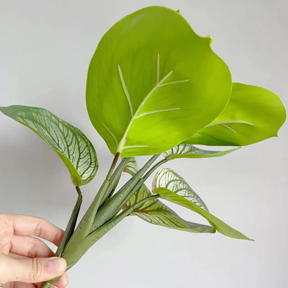 Plantes artificielles réalistes à feuilles de paon à feuilles persistantes