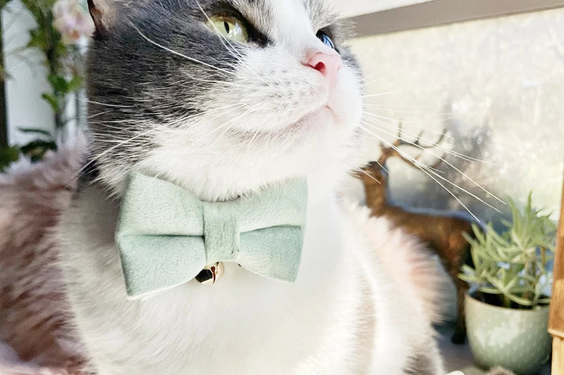 Adjustable Plaid Cat Collar with Bell Pendant
