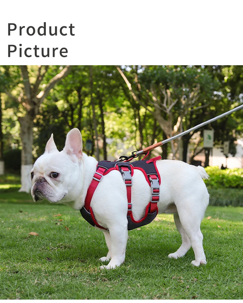 Pet Rainproof Bulldog Anti-slip Night Reflective Harnesses