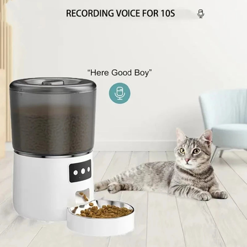 automatic cat food dispenser