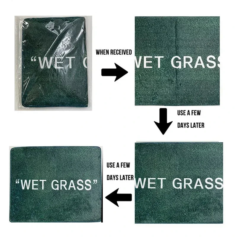 Anti-Slip Coral Fleece Entrance Door Mat