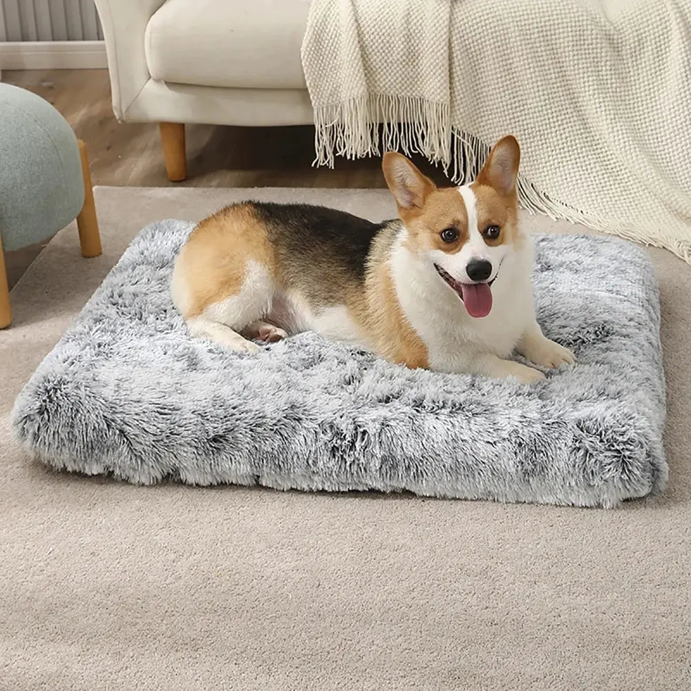 machine washable dog bed