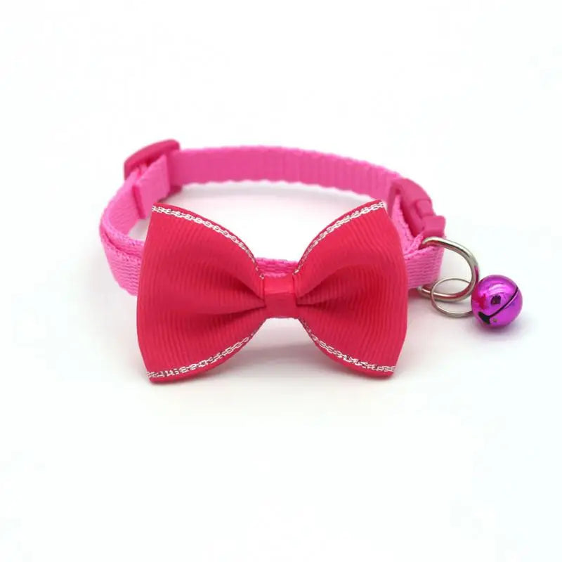 puppy dog collar