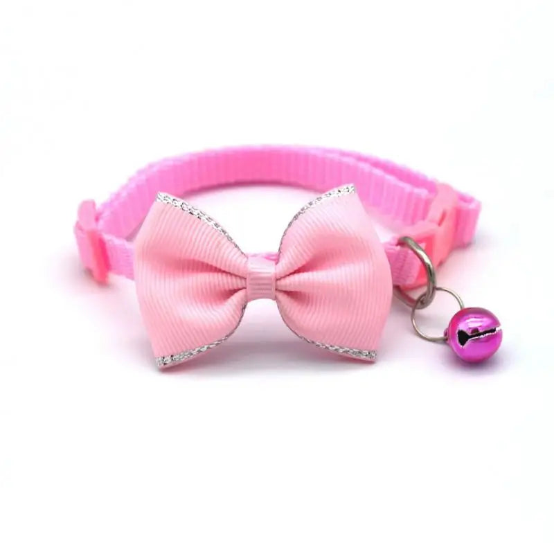 puppy dog collar