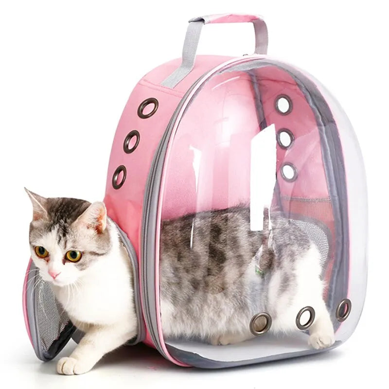 Transparenter Capsule Bubble Pet Carrier-Rucksack