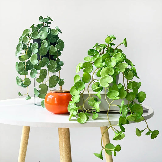 Mini-Kunstpflanzen aus weichem Kleber für Zuhause