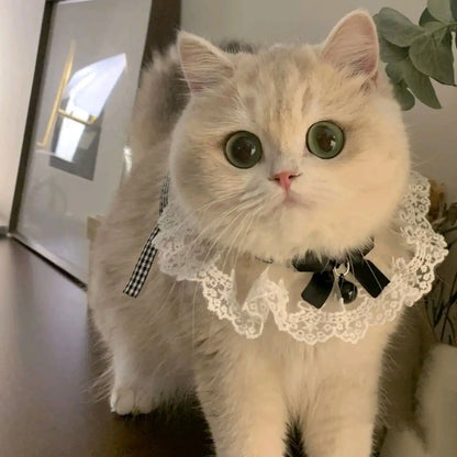 pearl cat collar