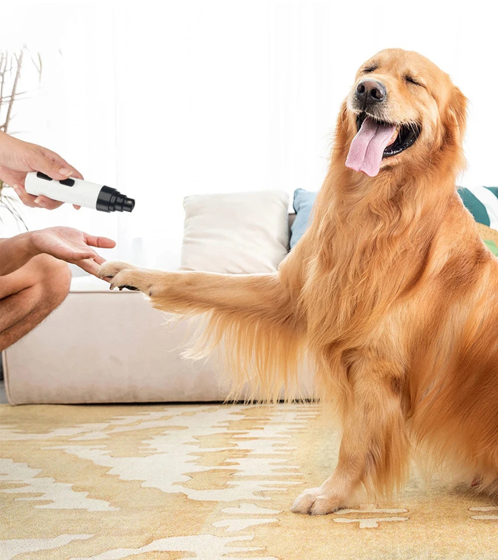 Broyeurs à ongles silencieux et rechargeables par USB pour animaux de compagnie