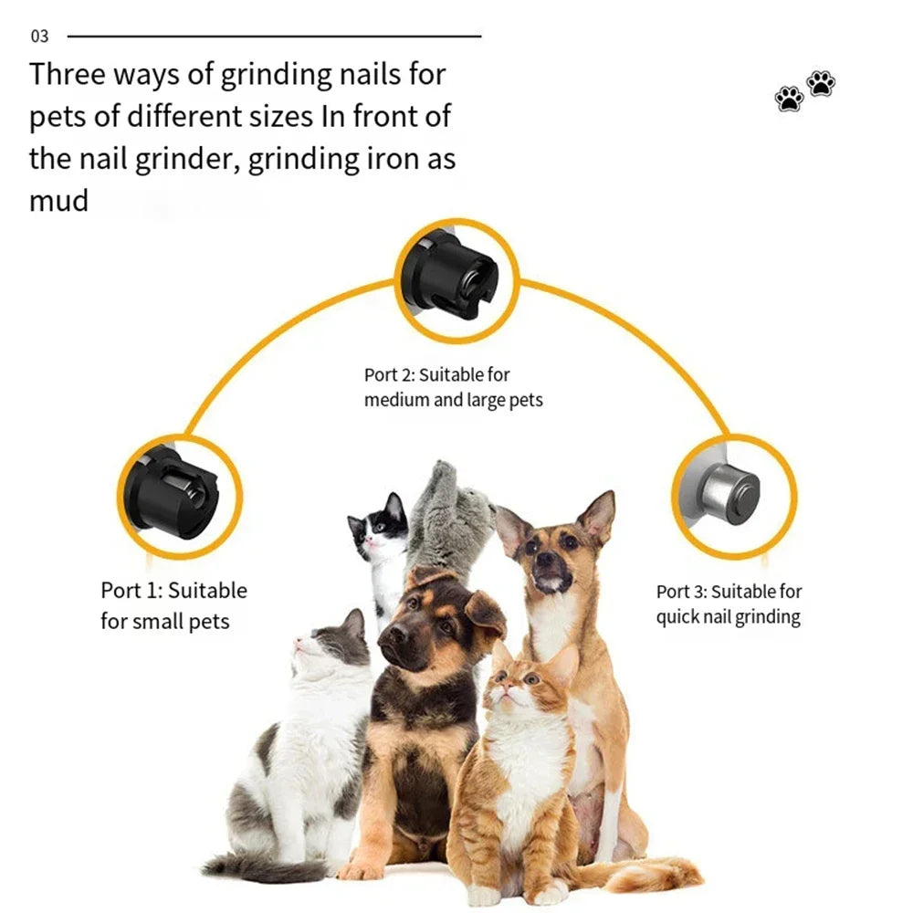 Broyeur à ongles LED rechargeable par USB pour animaux de compagnie