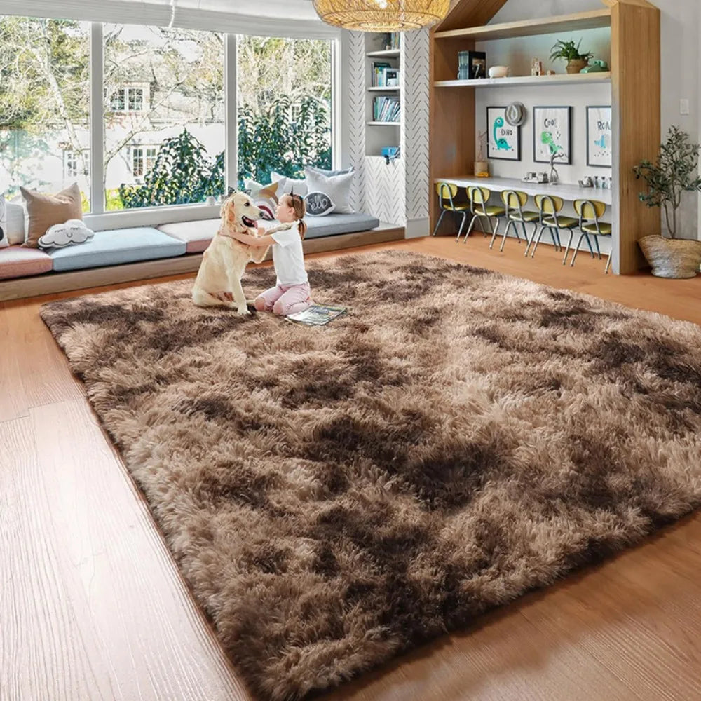 Washable Fluffy Living Room Carpet